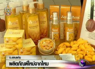 Silk is Thailand’s most elegant natural fiber, used mainly for textile manufacturing. Due to a decline in prices in worldwide markets for the famed fiber, Mahasarakham University researchers have developed innovative and varied products made from silk in order to help silk farmers to claim additional income from silk production when the market prices of silk have dropped.